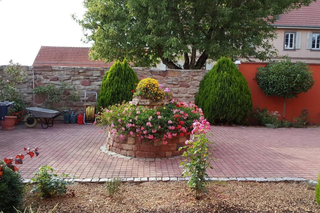 Le Gite 'Humulus' Bilwisheim المظهر الخارجي الصورة